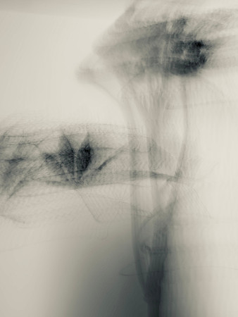 Abstract mixed media artwork with foliage-like forms moving in sepia tones, creating a sense of outward motion.