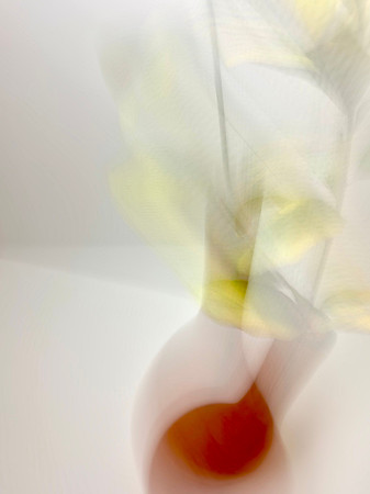 Abstract mixed media artwork with soft layered forms in orange and yellow tones.